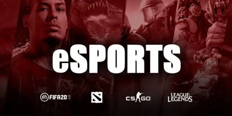 Cá Cược ESports Sunwin Có Gì Nổi Bật? Phân Tích Chi Tiết 3 Cá Cược ESports Sunwin Có Gì Nổi Bật? Phân Tích Chi Tiết